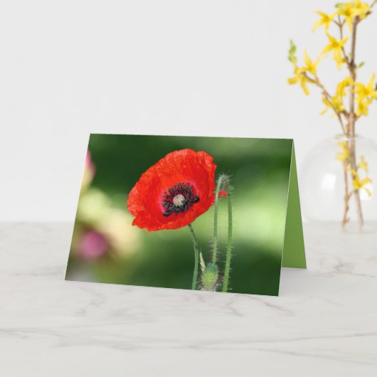 Wenskaart met rode papaverzaad kaart (Gele Bloem)