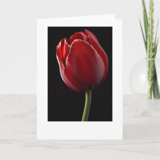 Wenskaart met rode tulpen kaart