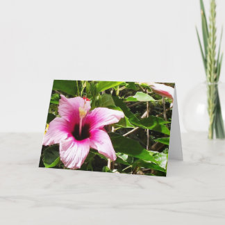 Wenskaart met roze bloemenomslag kaart