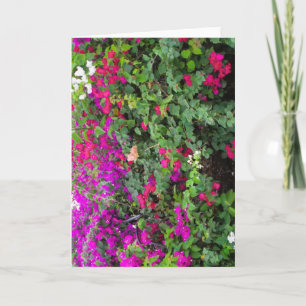 Wenskaart met roze en paarse bloemen kaart
