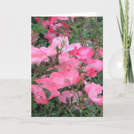 Wenskaart met roze rozen kaart (Voorkant)