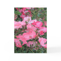 Wenskaart met roze rozen