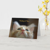 Wenskaart met Schattig Sinaasappel Tabby Kitten Kaart (Gele Bloem)