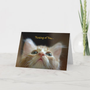 Wenskaart met Schattig Sinaasappel Tabby Kitten Kaart