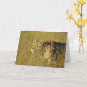 WENSKAART MET STALLIONESTUUR KAART (Gele Bloem)