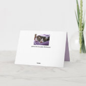 wenskaart met twee kittens kaart (Achterkant)