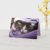 wenskaart met twee kittens kaart (Gele Bloem)