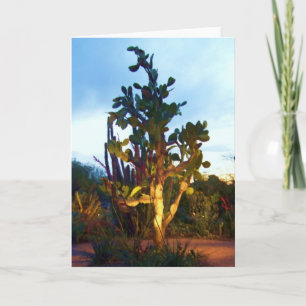 wenskaart met vijgcactusboom kaart