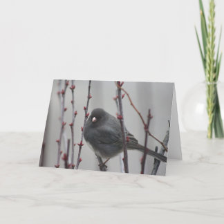 Wenskaart met vogel in een boom kaart