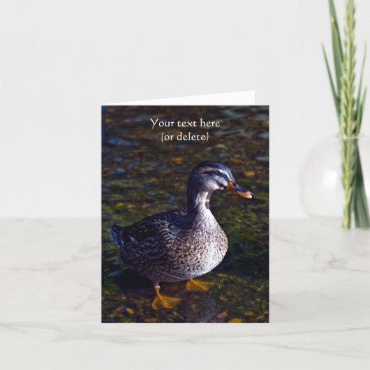 Wenskaart met wilde eend kaart (Voorkant)