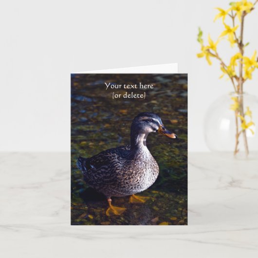 Wenskaart met wilde eend kaart (Gele Bloem)