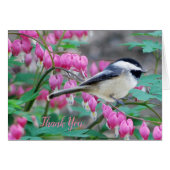 Wenskaart met zwarte lammeren (Voorkant Horizontaal)