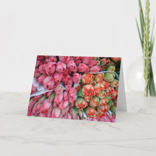 WENSKAART Mooie Tulpen in Frankrijk Kaart