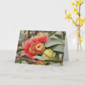 WENSKAART - Native Australian Eucalyptus Kaart (Gele Bloem)