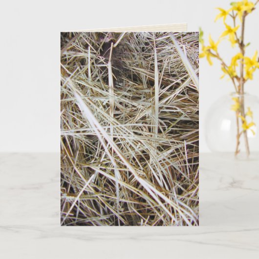 wenskaart "needle in a haystack" kaart (Gele Bloem)