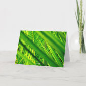 wenskaart (Nieuwe Aankomst) Kaart (Achterkant)