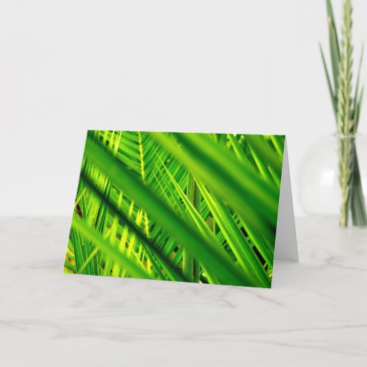 wenskaart (Nieuwe Aankomst) Kaart (Voorkant)