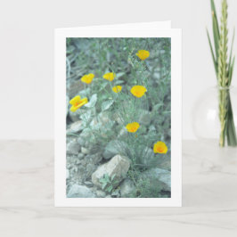 Wenskaart of Kaart van woestijnlentevloeren