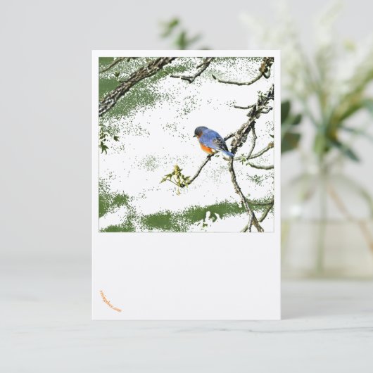 Wenskaart oostelijke blauwvogel/champagnebril ~ (Staand voorkant)