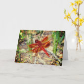 Wenskaart Oranje libel Kaart (Gele Bloem)