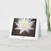 wenskaart "PAINTED LOTUS" Kaart (Achterkant)
