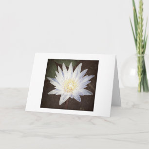 wenskaart "PAINTED LOTUS" Kaart