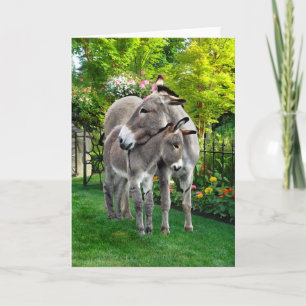 Wenskaart 'Pasen en Baby Eno' Kaart