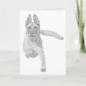  Wenskaart Pencil Malinois Kaart (Voorkant)