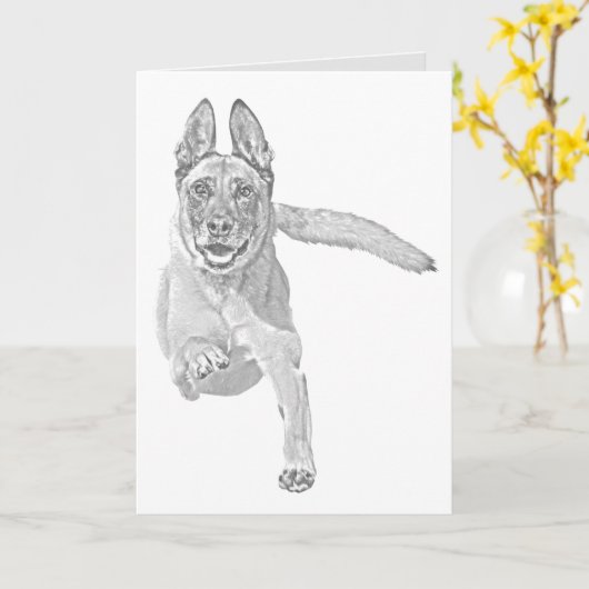  Wenskaart Pencil Malinois Kaart (Gele Bloem)