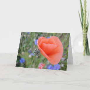 Wenskaart Poppy bloem hart, vormbaar in blanco Kaart
