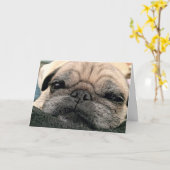Wenskaart: Pug/de Misser van Itsy uw gezicht Kaart (Gele Bloem)