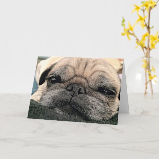 Wenskaart: Pug/de Misser van Itsy uw gezicht Kaart (Gele Bloem)