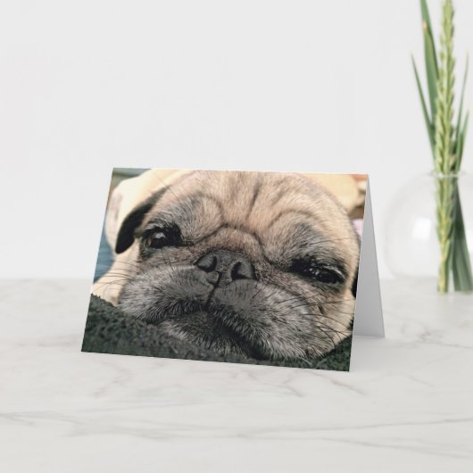 Wenskaart: Pug/de Misser van Itsy uw gezicht Kaart (Voorkant)