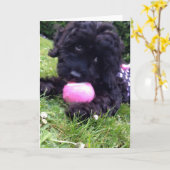 Wenskaart - Puppy Cockapoo Kaart (Gele Bloem)