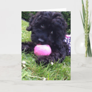Wenskaart - Puppy Cockapoo Kaart