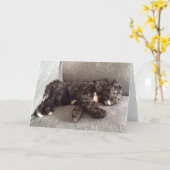 Wenskaart - Puppy Cockapoo Kaart (Gele Bloem)