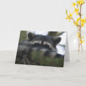 Wenskaart: Racoon Kaart (Gele Bloem)