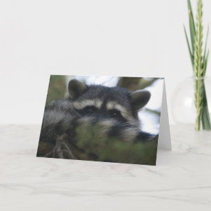 Wenskaart: Racoon Kaart