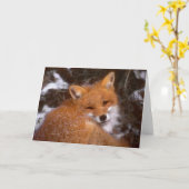 wenskaart "Red Fox" Kaart (Gele Bloem)