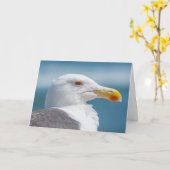 Wenskaart - Regal Seagull Kaart (Gele Bloem)
