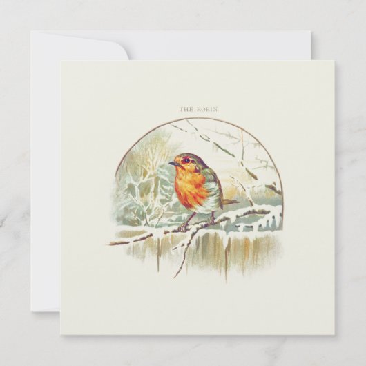 WENSKAART  ROBIN "MERRY CHRISTMAS" (Voorkant)