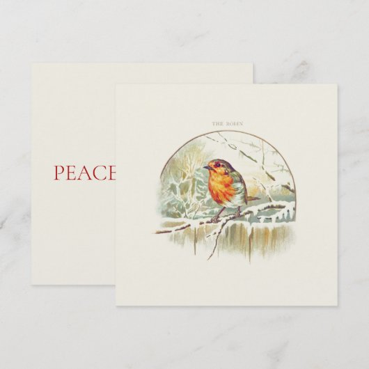 WENSKAART  ROBIN "MERRY CHRISTMAS" (Voorkant / Achterkant)