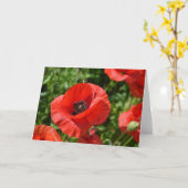 Wenskaart - Rode papavers Kaart (Gele Bloem)