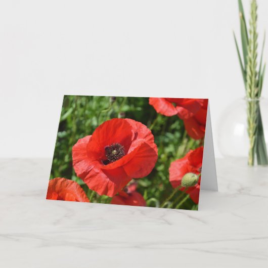 Wenskaart - Rode papavers Kaart (Voorkant)