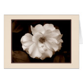 wenskaart "Roos van de lente (Sepia)" (Voorkant Horizontaal)