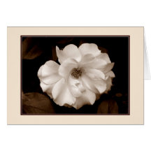 wenskaart "Roos van de lente (Sepia)"