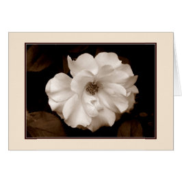 wenskaart "Roos van de lente (Sepia)"