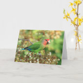 Wenskaart - rooskleurig-Onder ogen gezien Kaart (Gele Bloem)