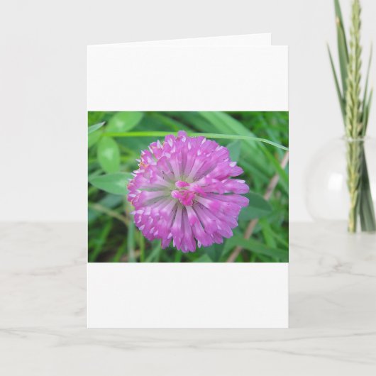 Wenskaart roze cloverblossom kaart (Voorkant)