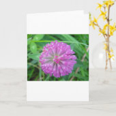 Wenskaart roze cloverblossom kaart (Gele Bloem)